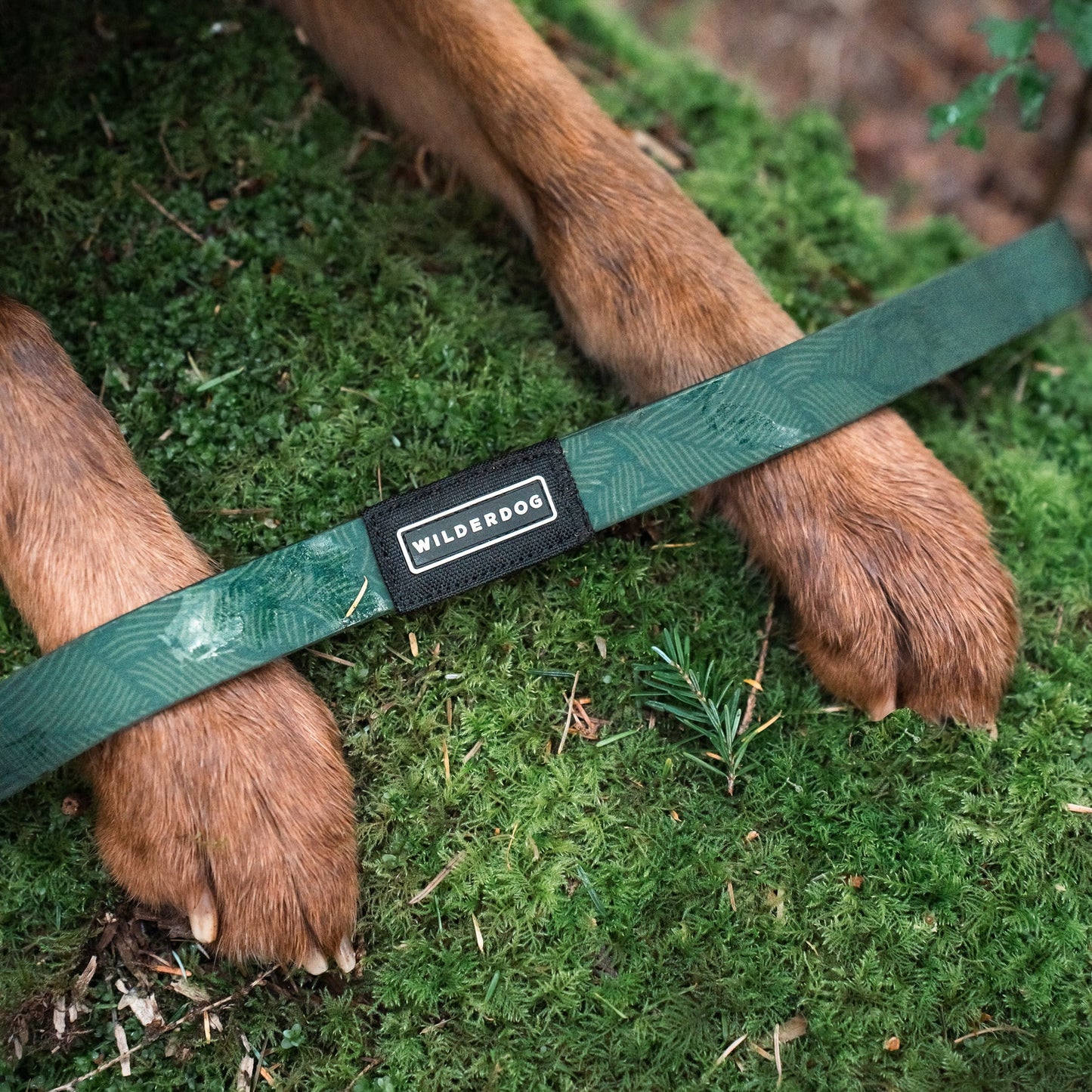 Wilderdog Waterproof Koppel CEDAR