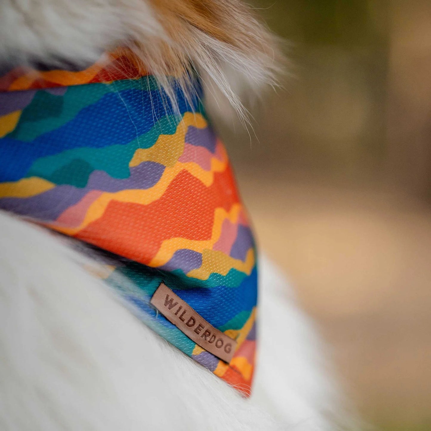 Wilderdog Bandana Canyon