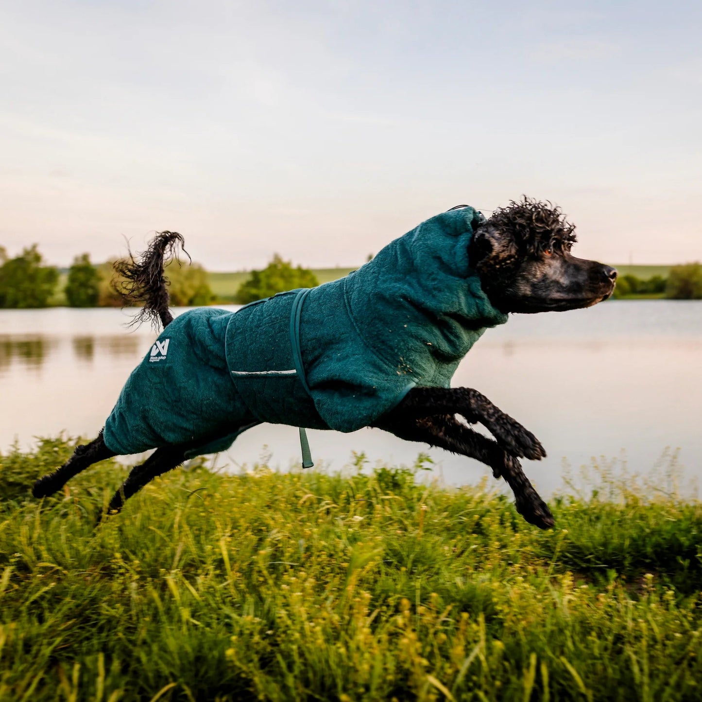 Non-stop Dogwear Drying Coat