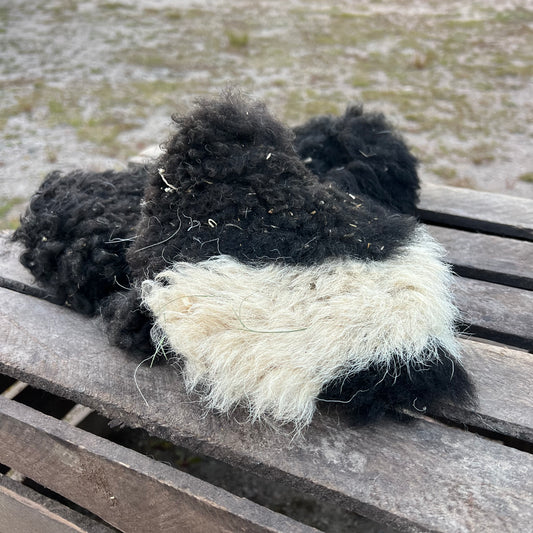 Lammskinn med päls – naturlig berikning för din hund
