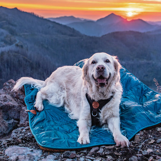 Wilderdog Picnic Blanket