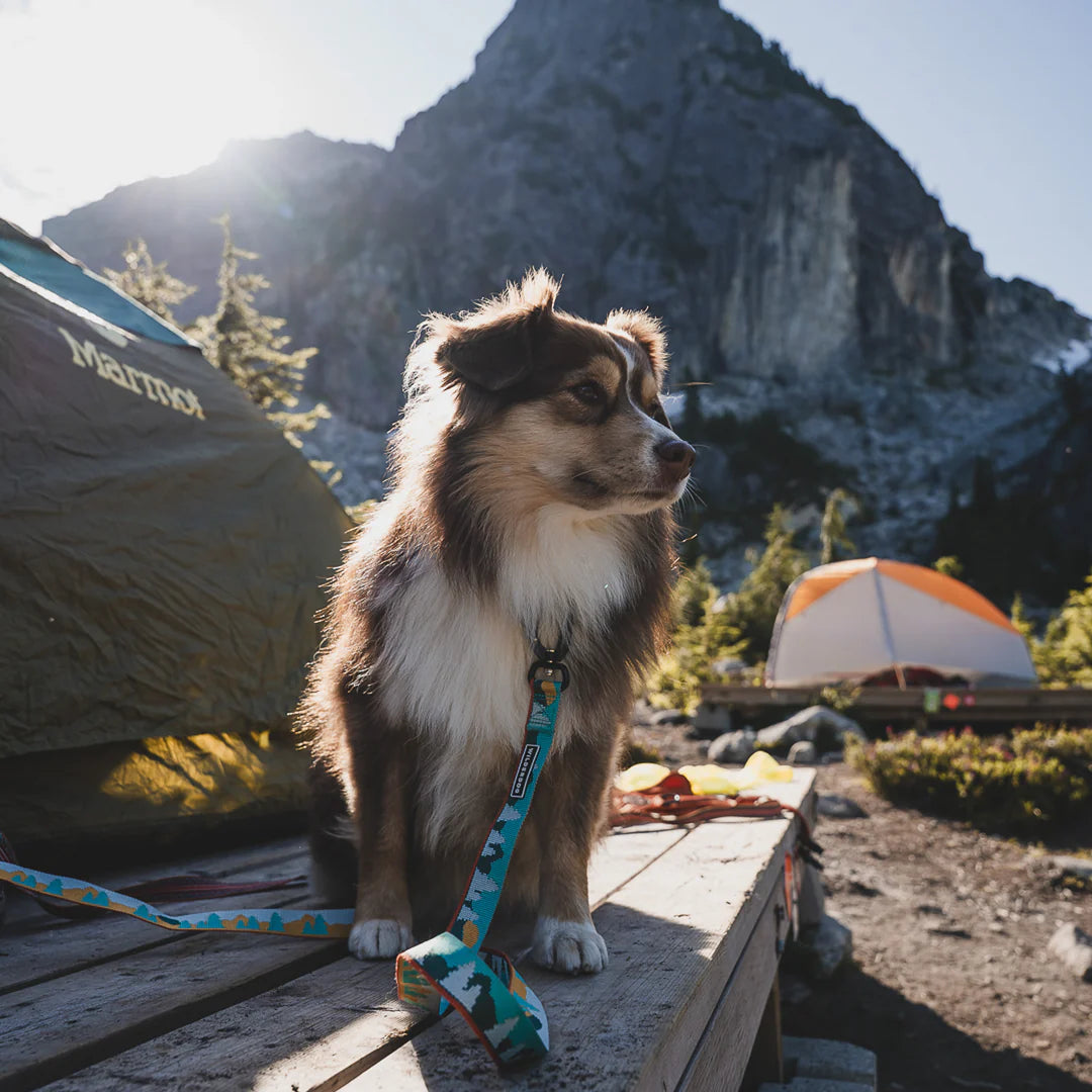 Wilderdog Ultralight Koppel TAMARACK