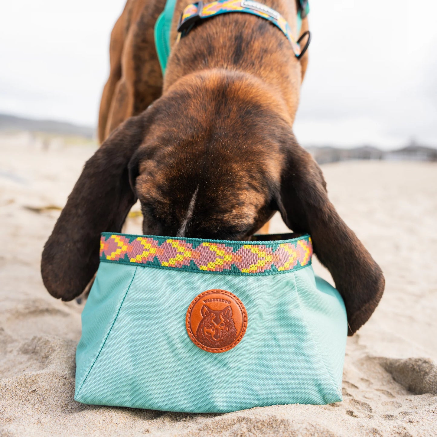 Wilderdog Backpacking Bowl – hopfällbar reseskål för hund