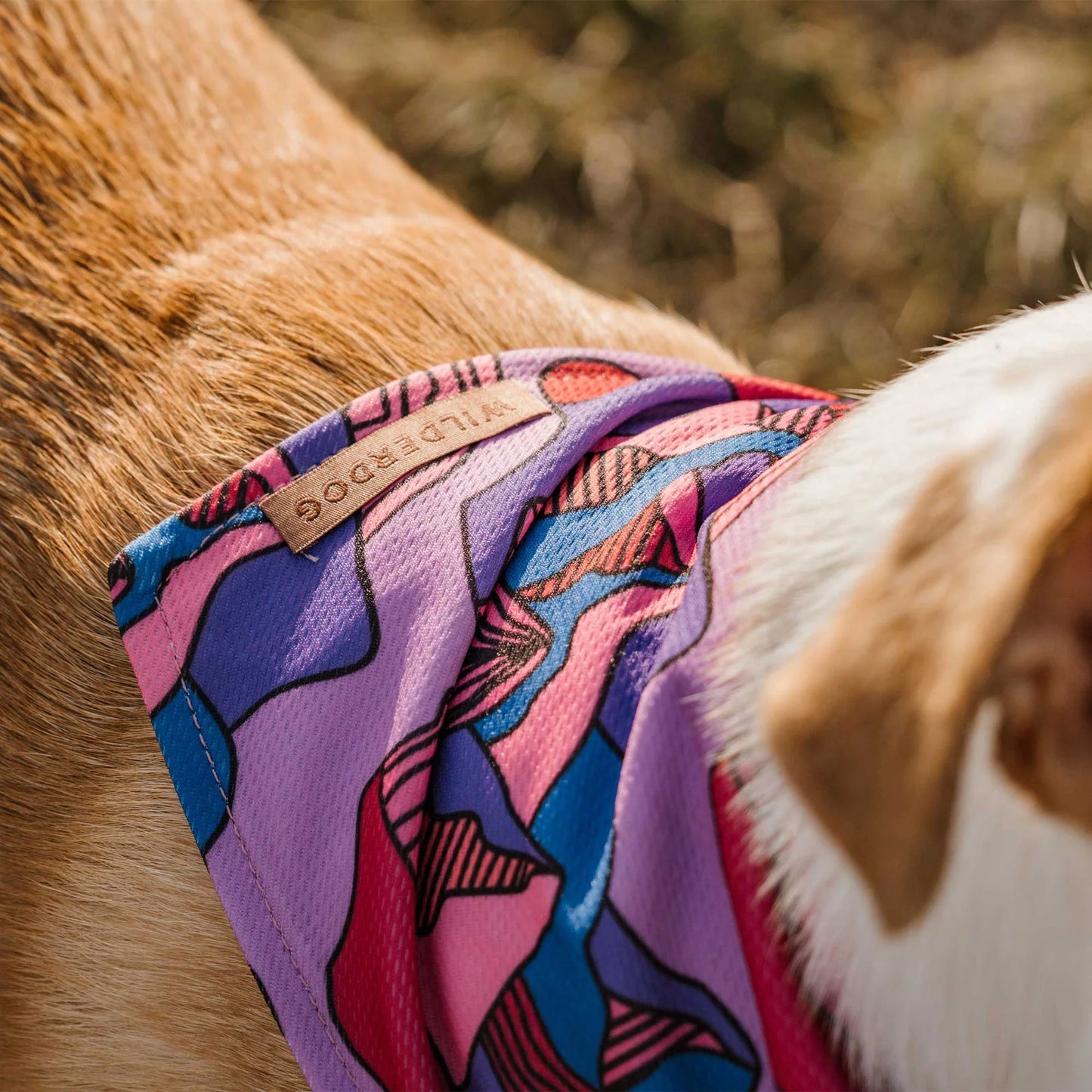 Wilderdog Bandana Summit