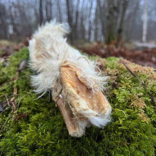 Kaninhud med päls, naturligt hundtugg. 