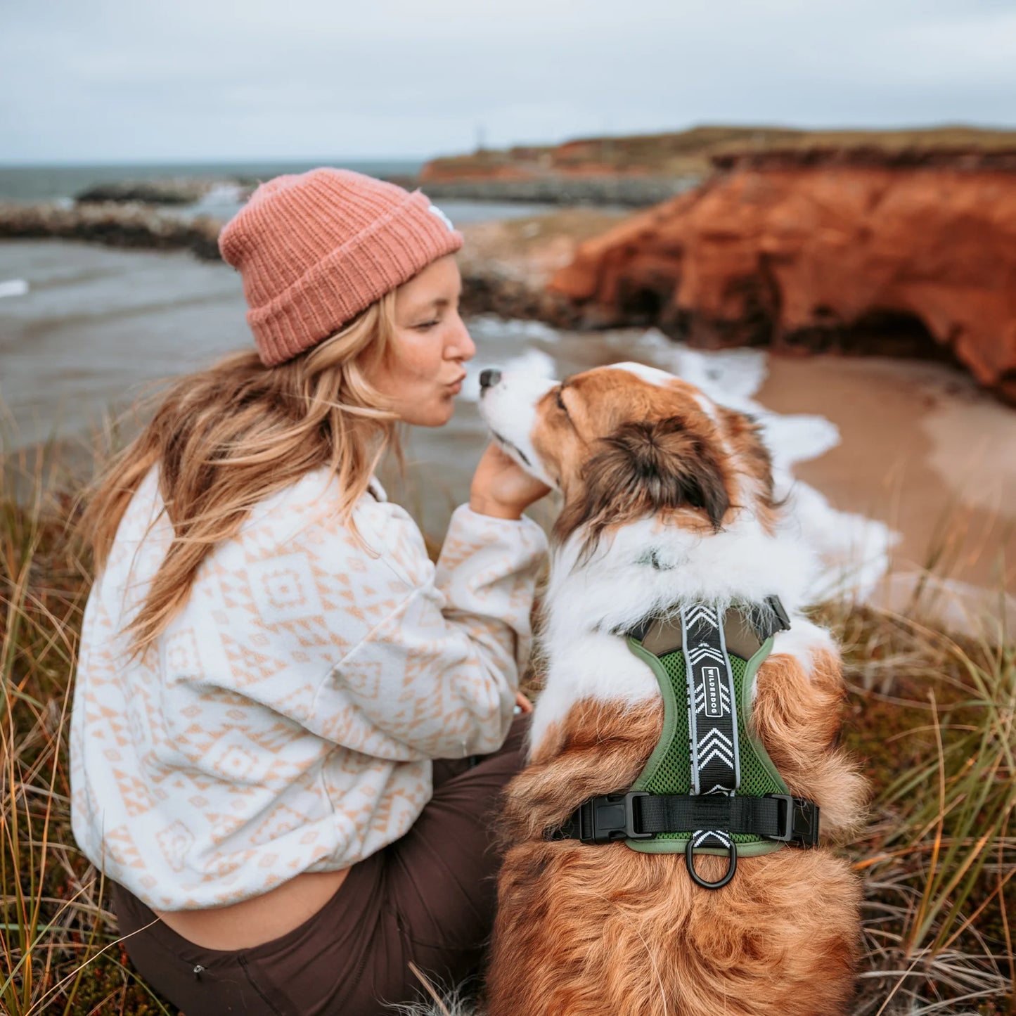 Wilderdog Y-sele – justerbar och bekväm sele för hund