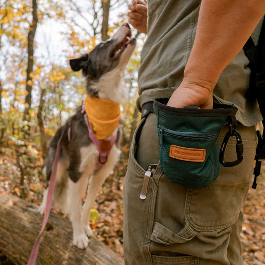 Wilderdog Belöningsväska för hundträning, Flera färger!