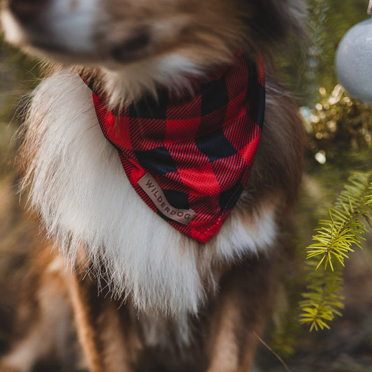 Wilderdog Bandana BUFFALO PLAID