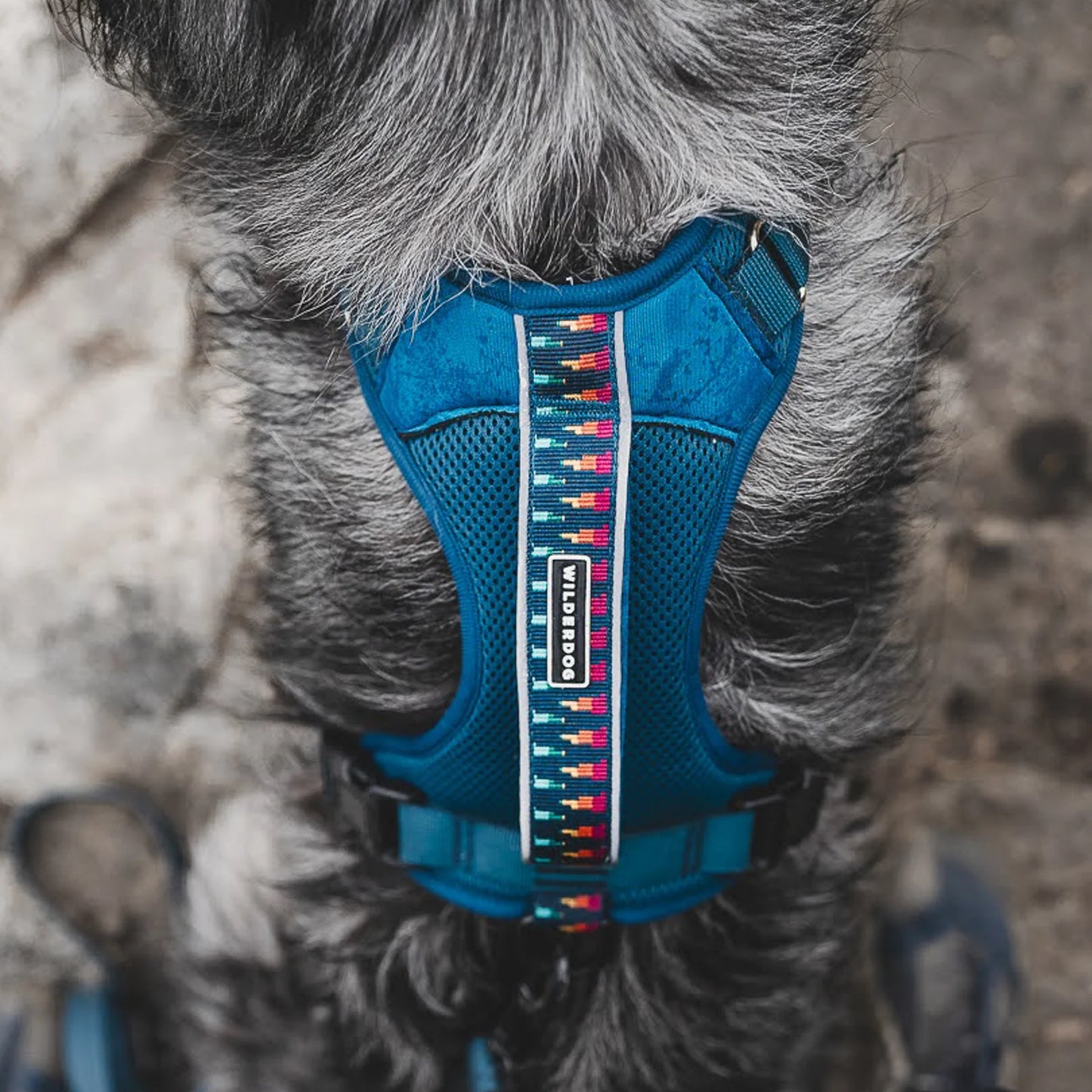 Wilderdog Y-sele – justerbar och bekväm sele för hund