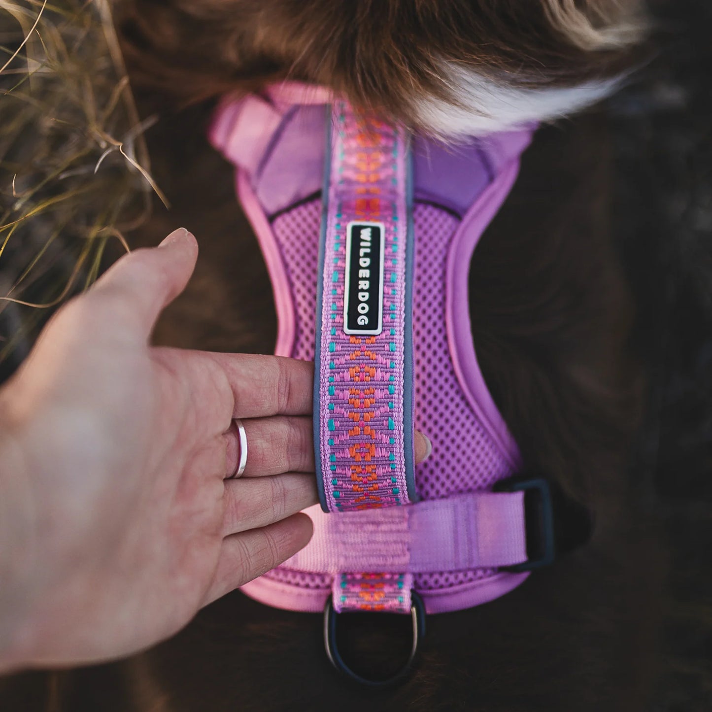 Wilderdog Y-sele – justerbar och bekväm sele för hund