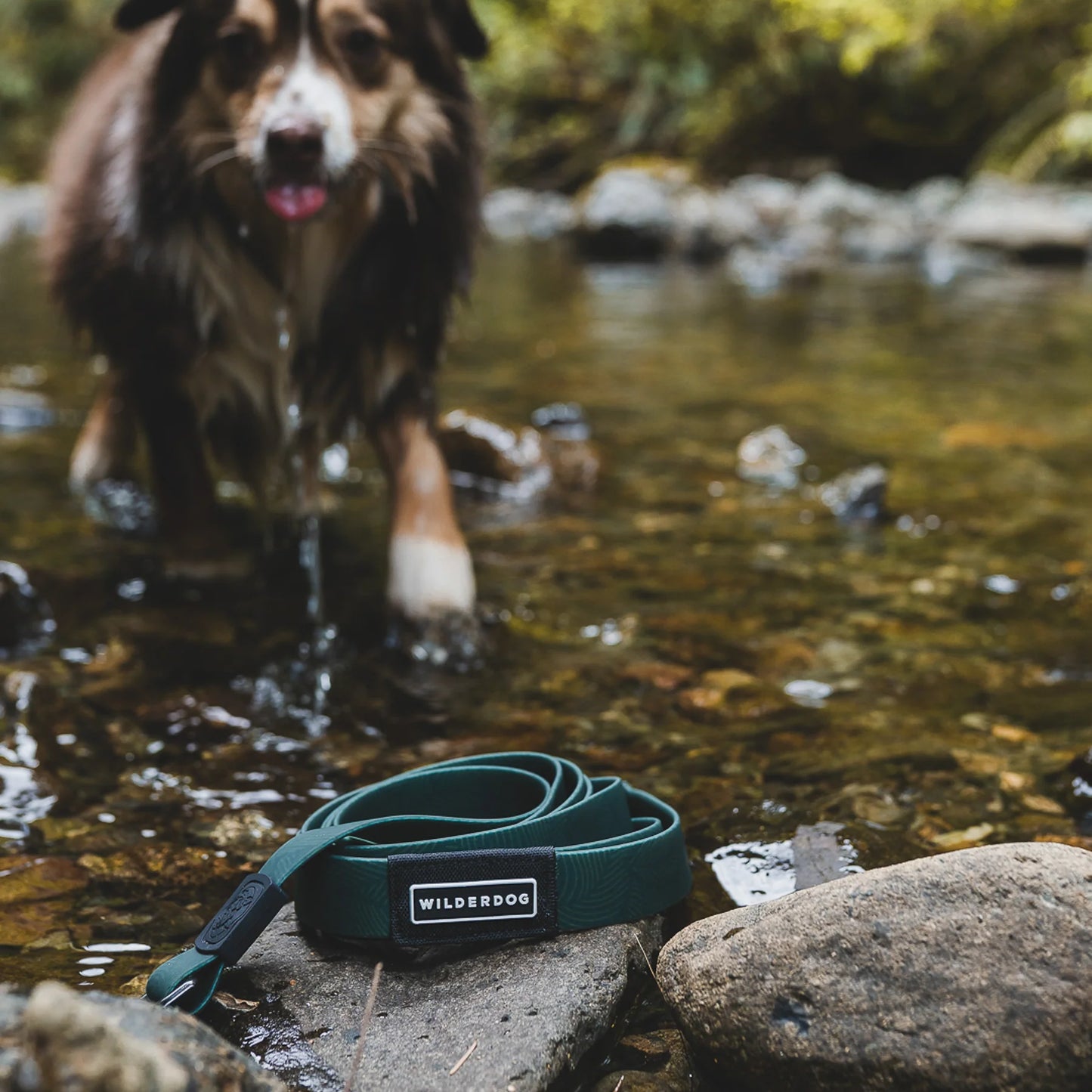 Wilderdog Waterproof Koppel CEDAR