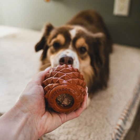 Wilderdog The Conifur