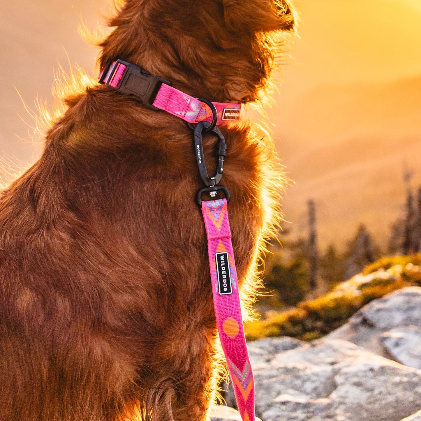 Wilderdog Ultralight Halsband PLAYA