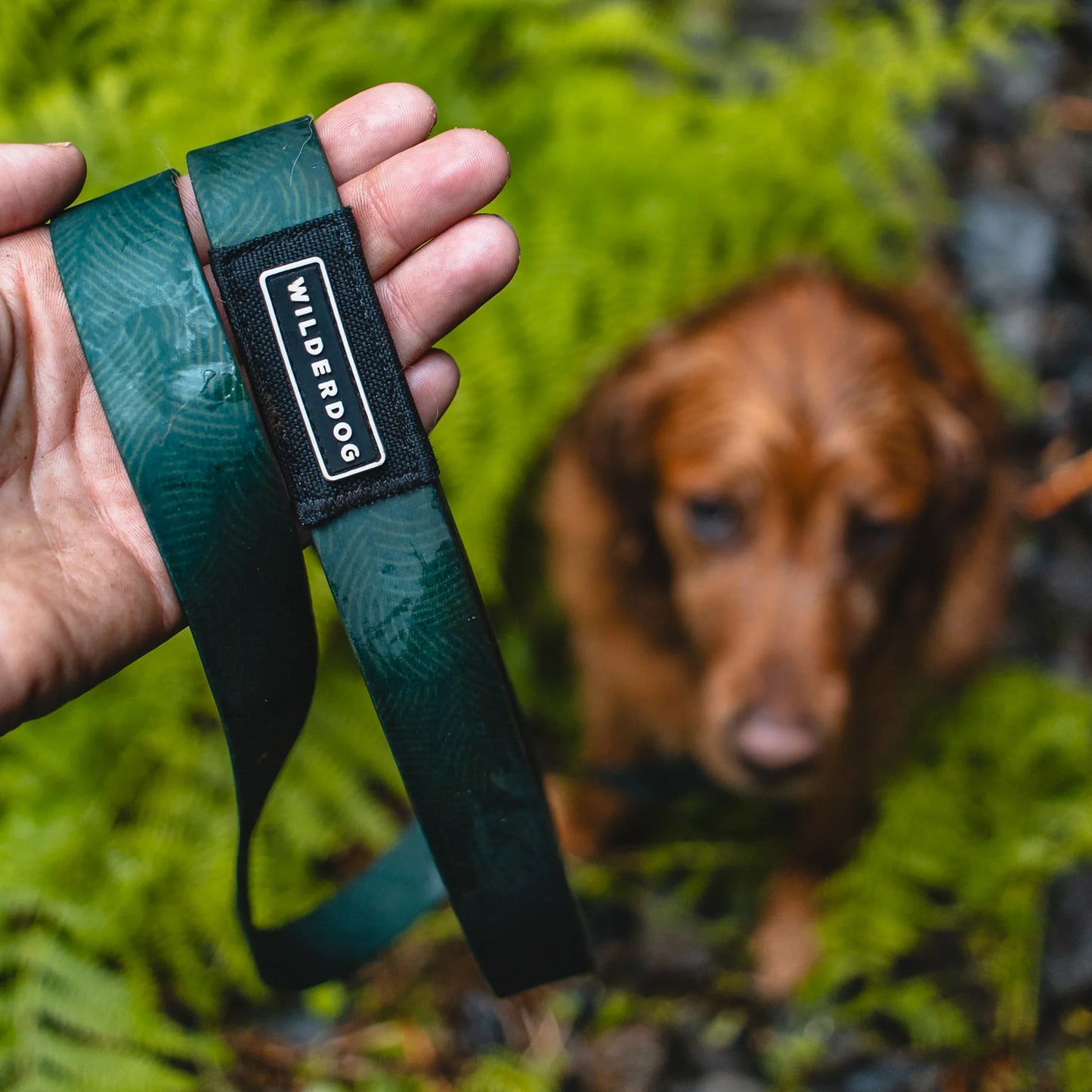 Wilderdog Waterproof Koppel CEDAR