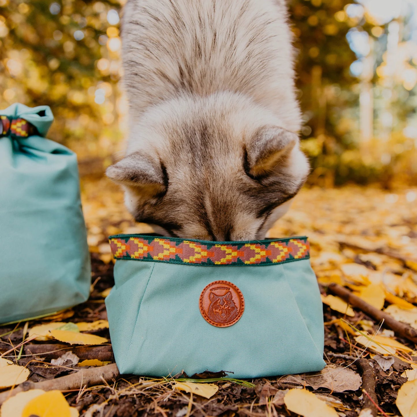 Wilderdog Backpacking Bowl – hopfällbar reseskål för hund
