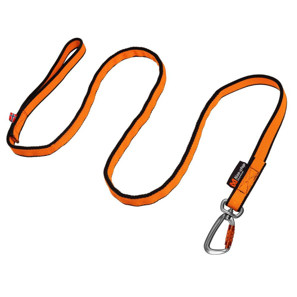 Bungee leash
