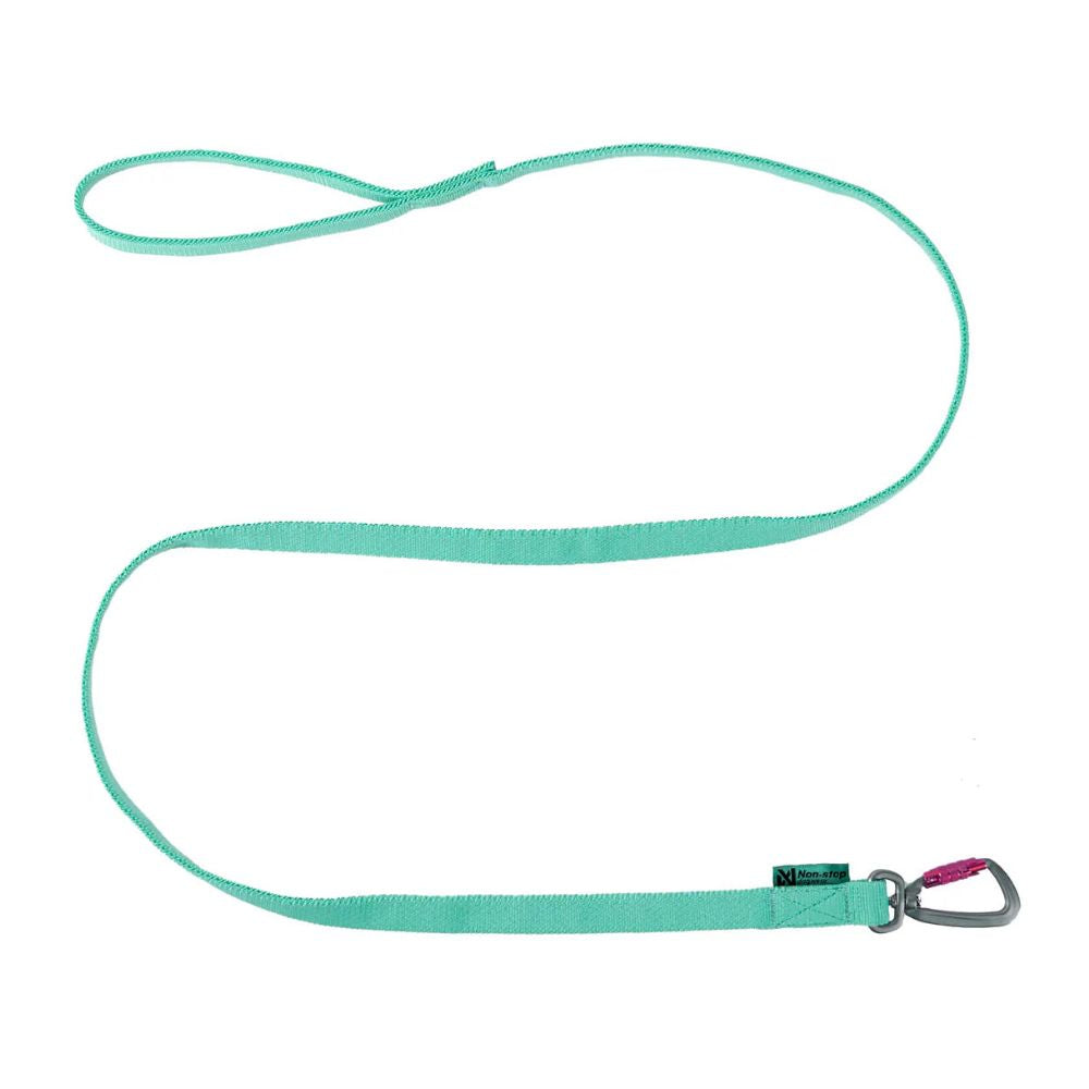 Bungee leash