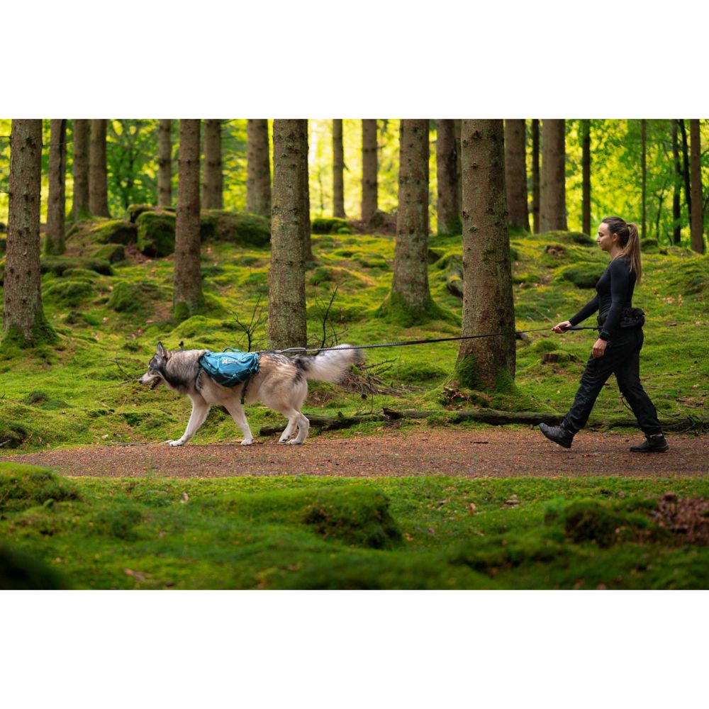 Trail quest dog backpack