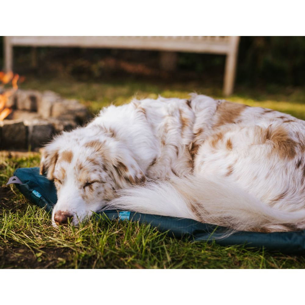 Trekking dog bed