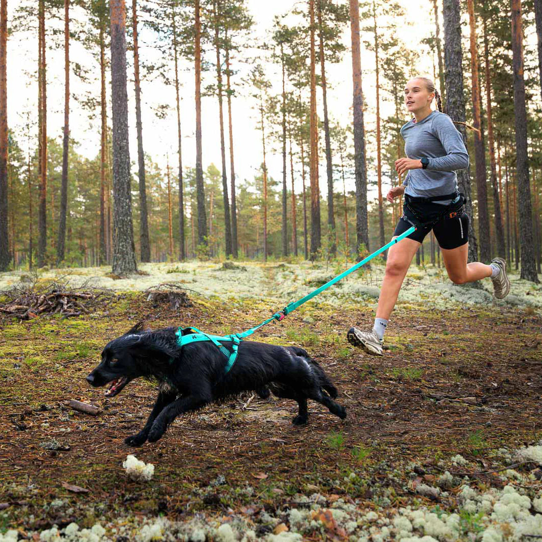 Bungee leash