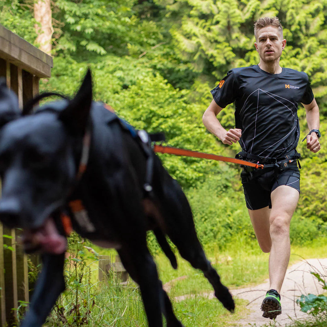 Bungee leash