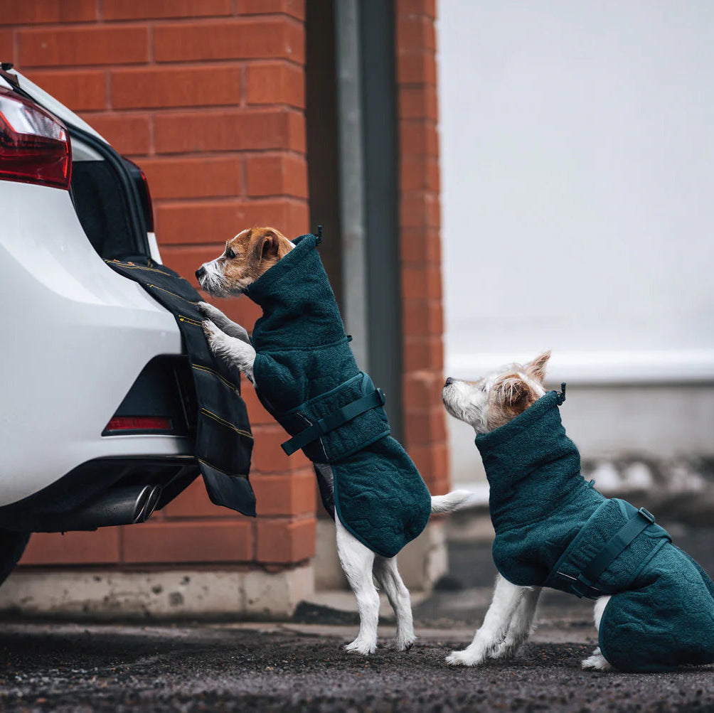 Non-stop Dogwear Drying Coat