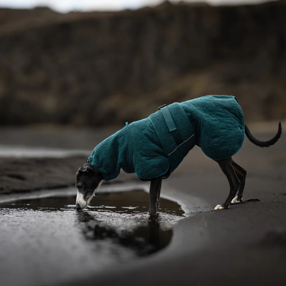 Non-stop Dogwear Drying Coat