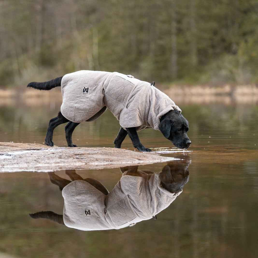 Non-stop Dogwear Drying Coat
