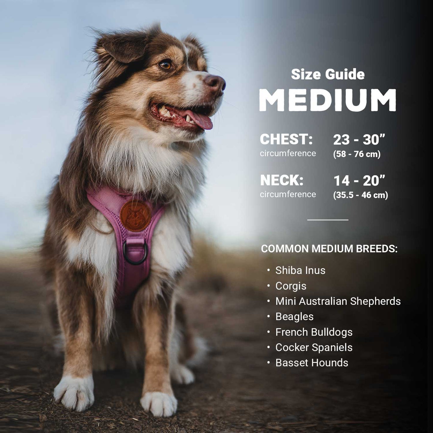 Wilderdog Y-sele – justerbar och bekväm sele för hund