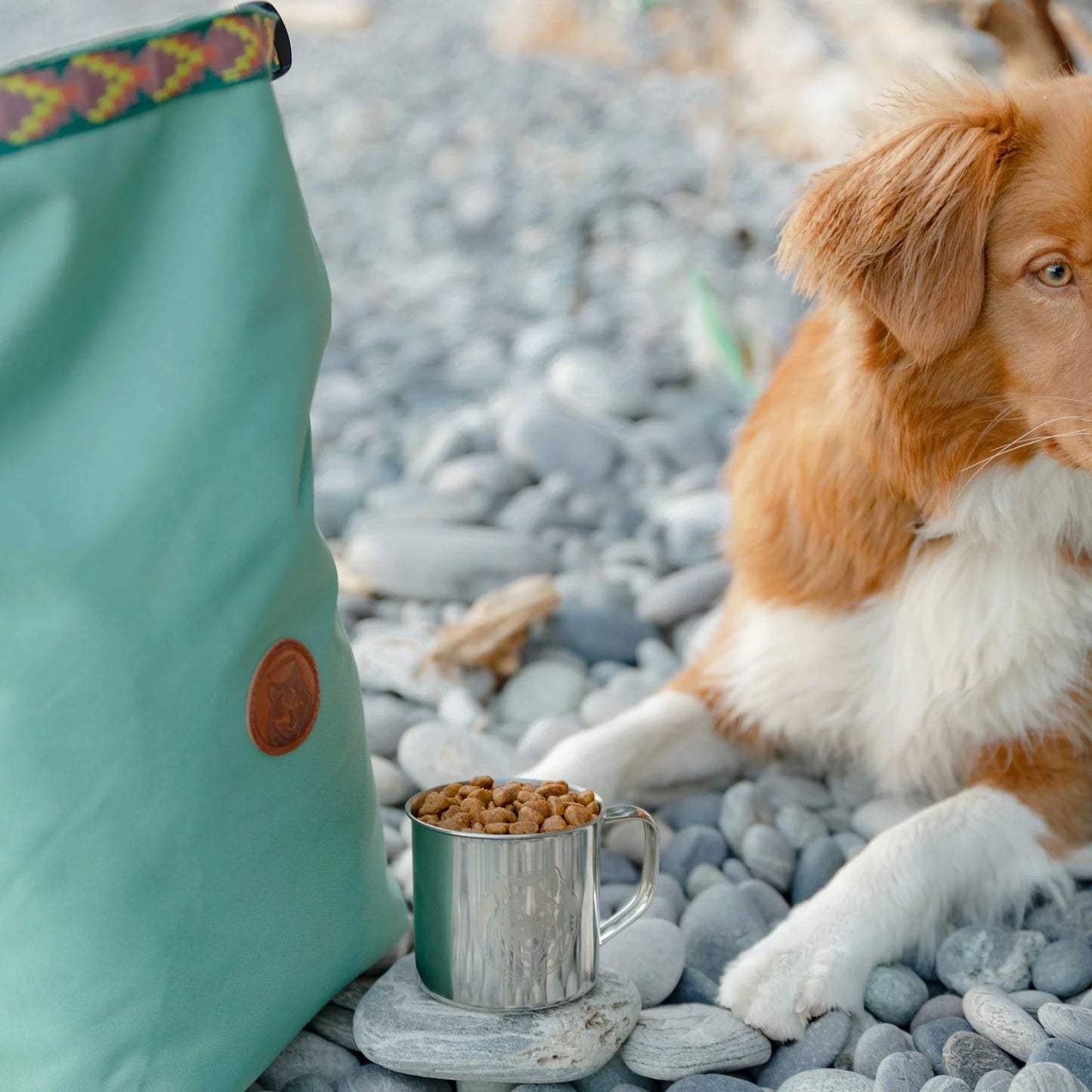 Wilderdog Doggie Bag – välj din färg