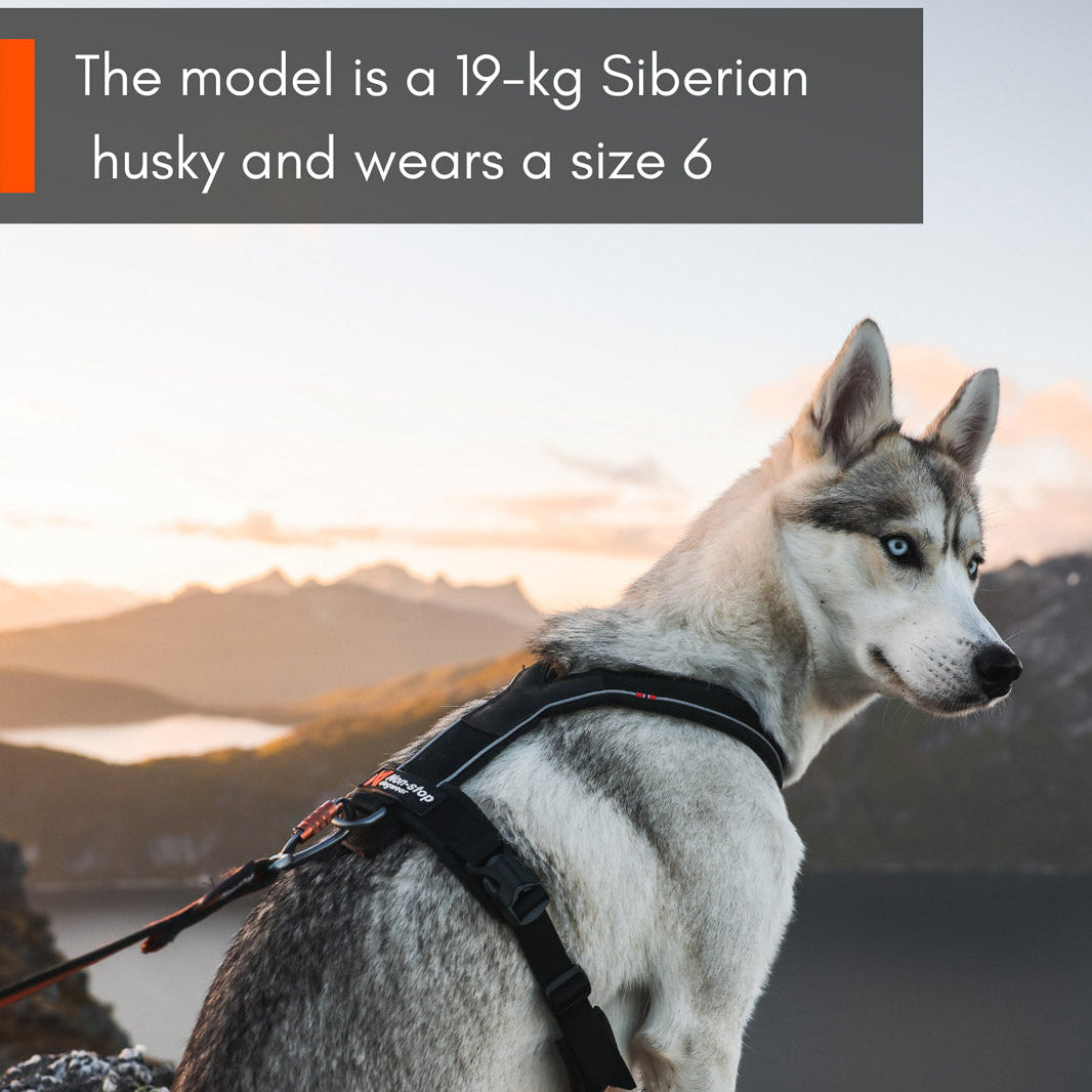 Line harness 5.0 flera färger