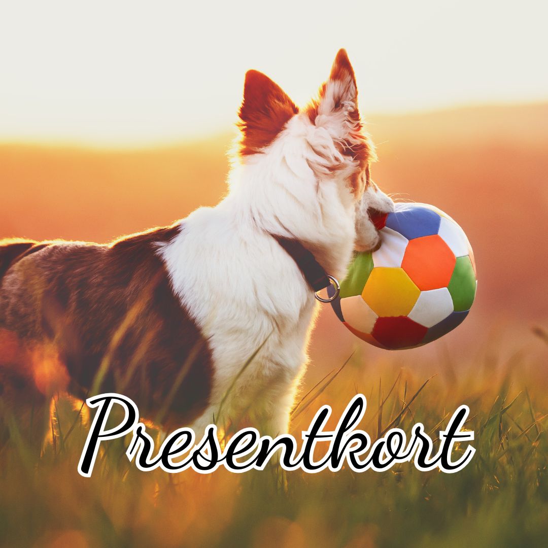 VUAJA Presentkort för hundägare