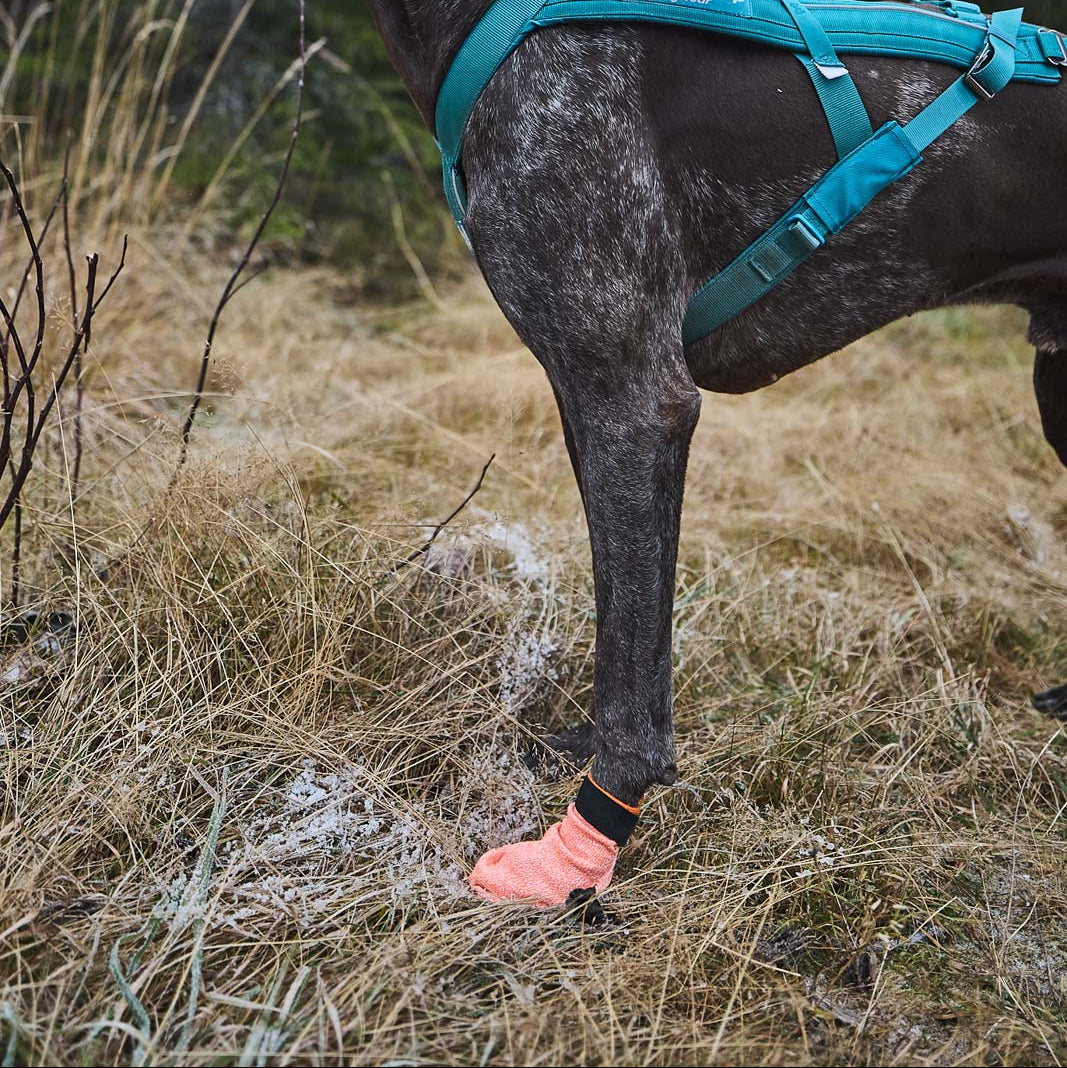 Protector light socks