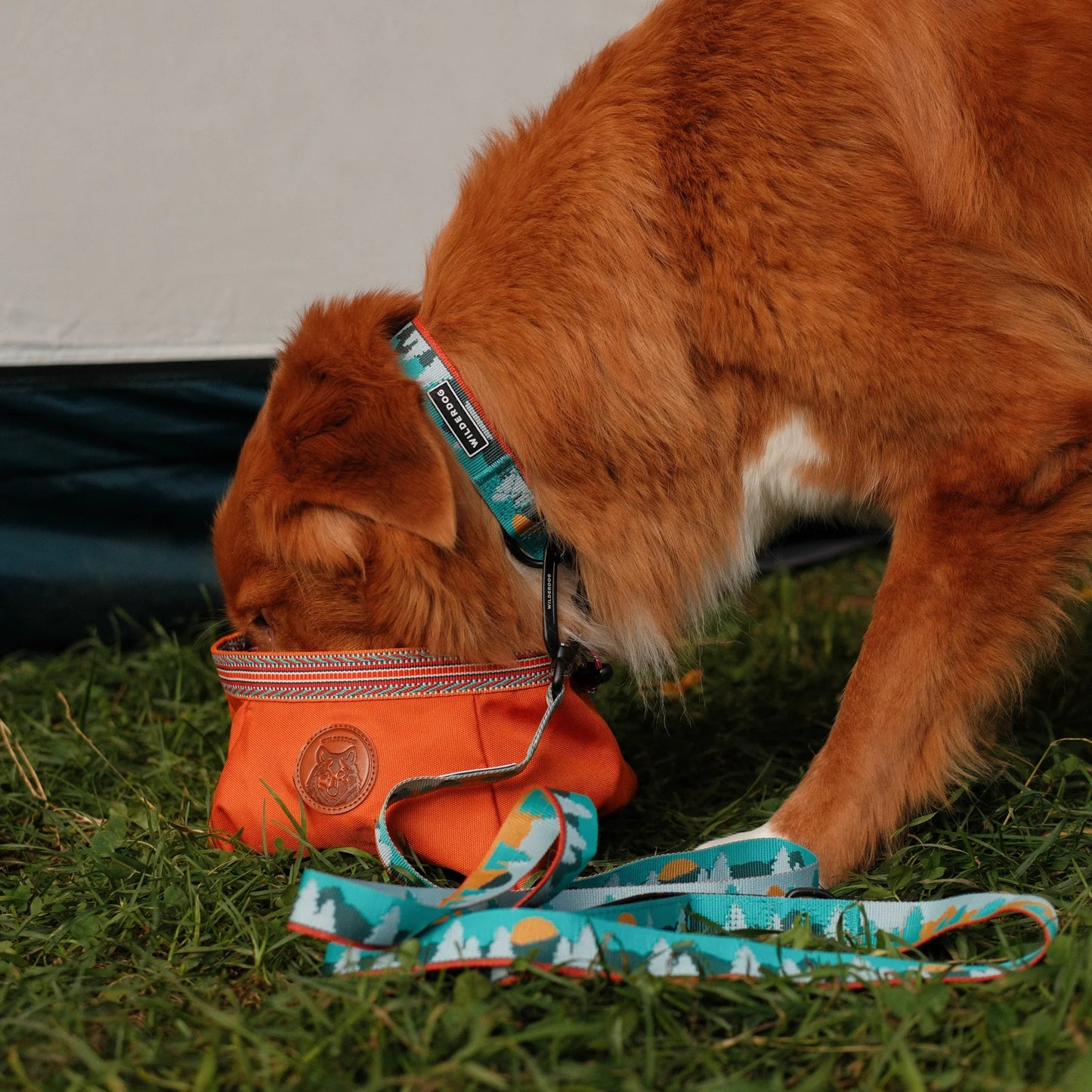 Wilderdog Ultralight Halsband TAMARACK