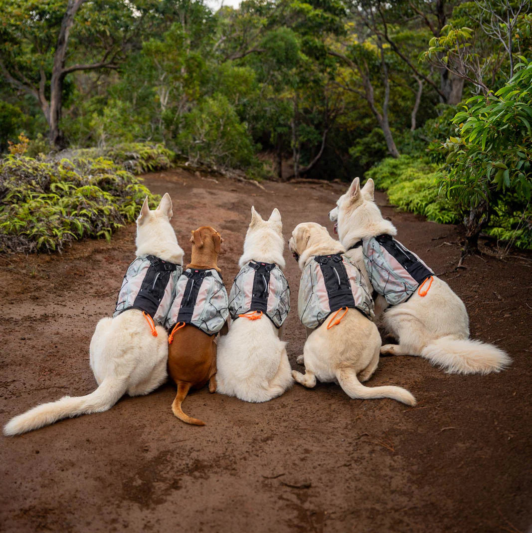 Trail light dog backpack