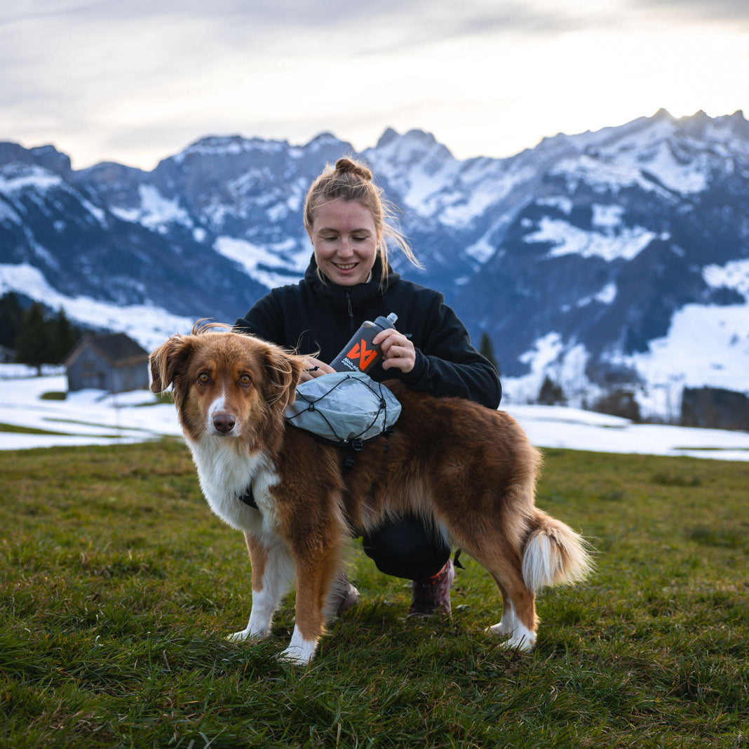 Trail light dog backpack