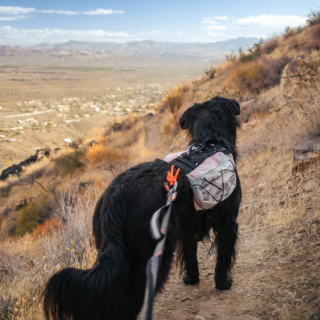 Trail light dog backpack