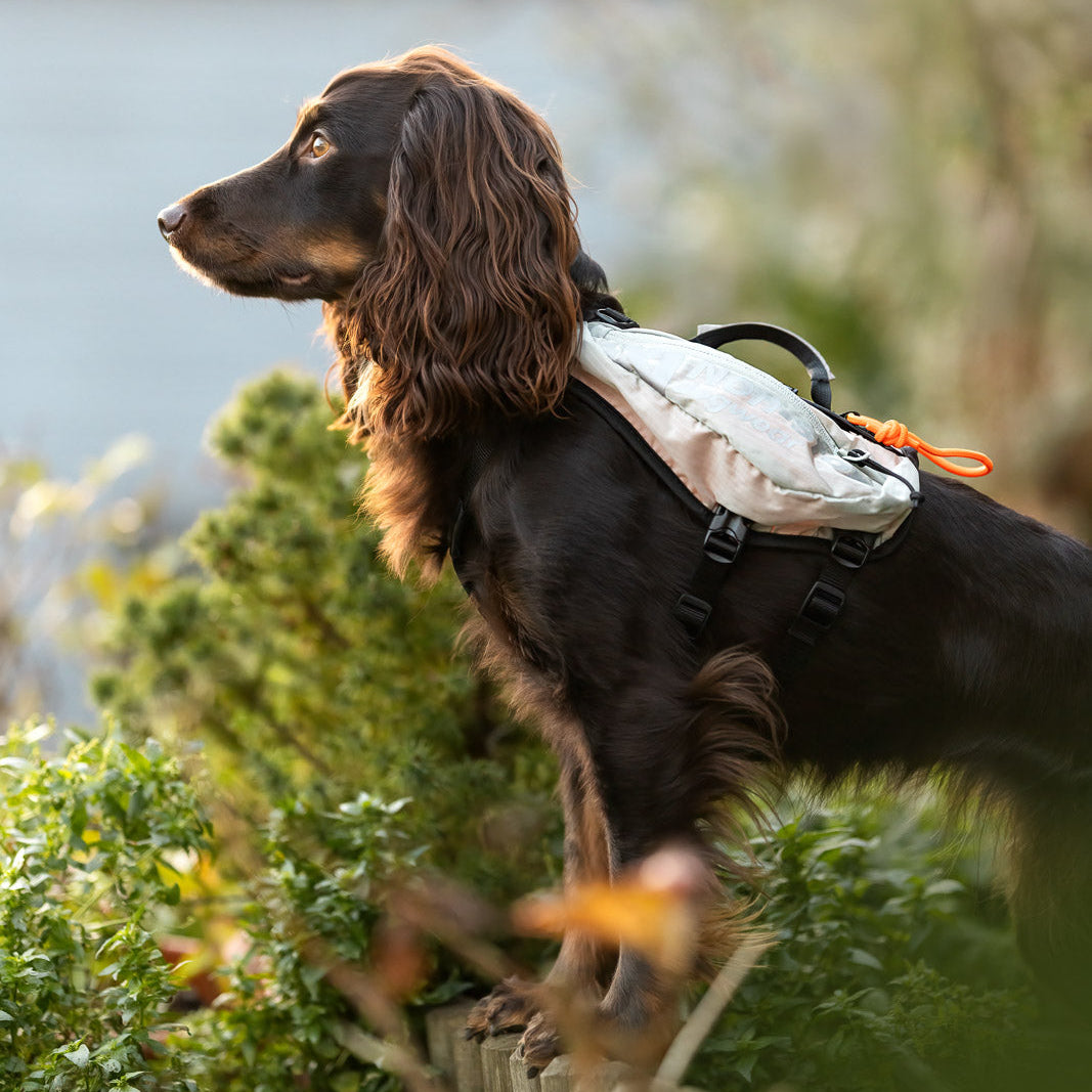Trail light dog backpack