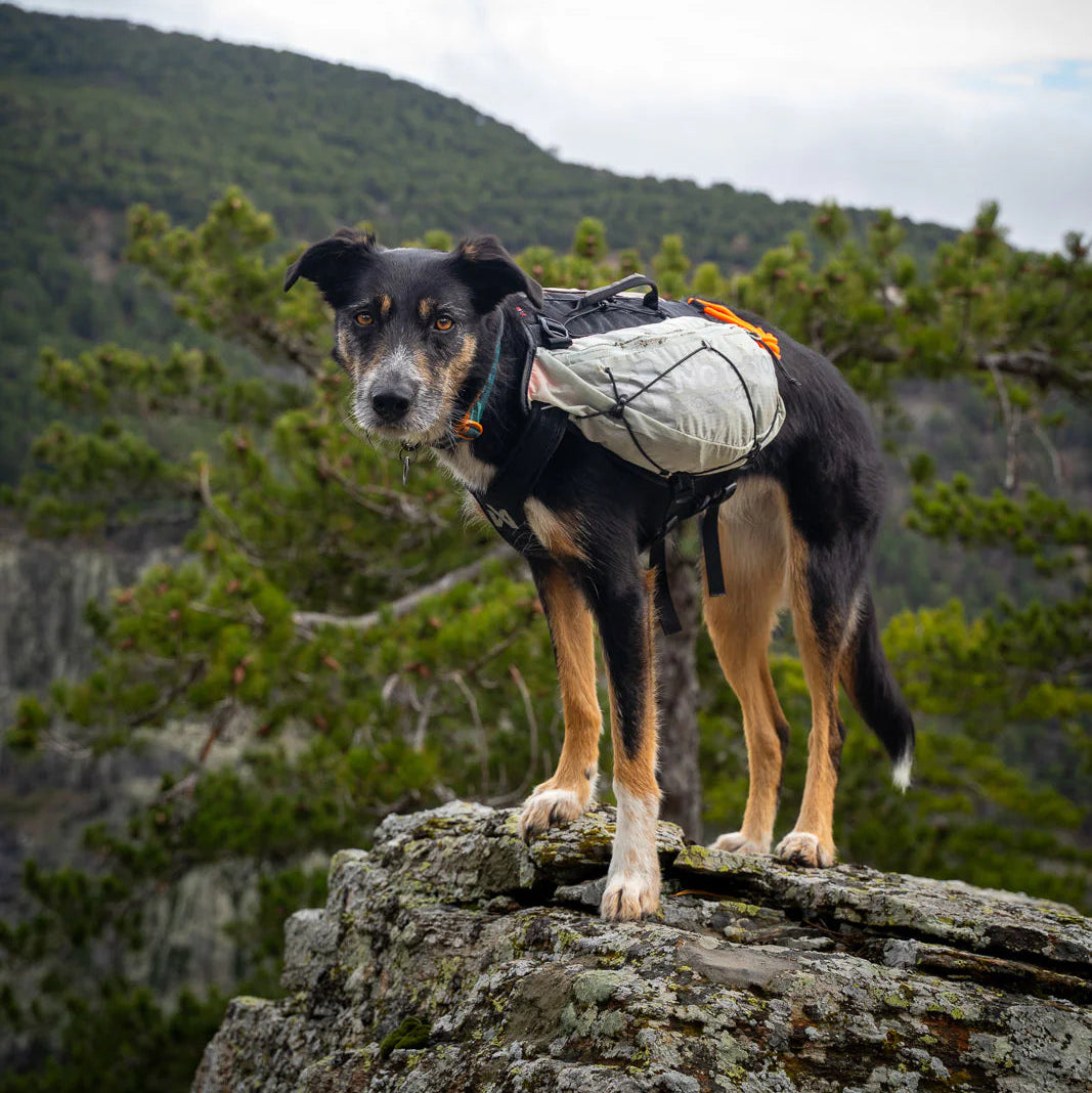 Trail light dog backpack