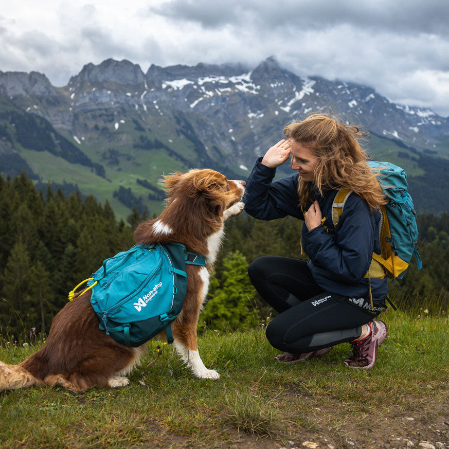 Trail quest dog backpack