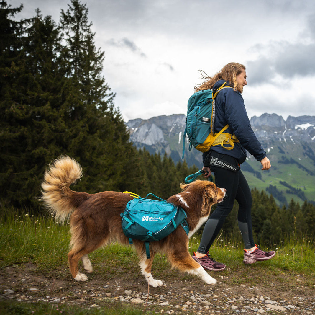 Trail quest dog backpack