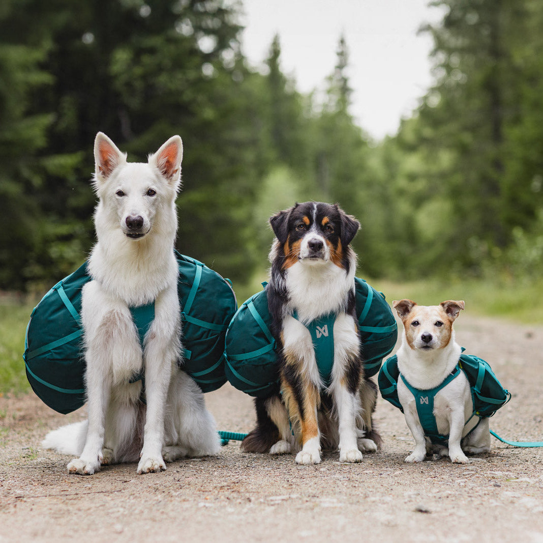 Trail quest dog backpack