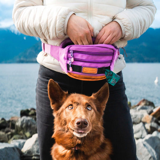 Wilderdog Utility Pack, fem färger