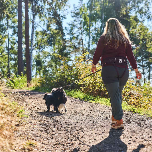 Trekking belt 2.0