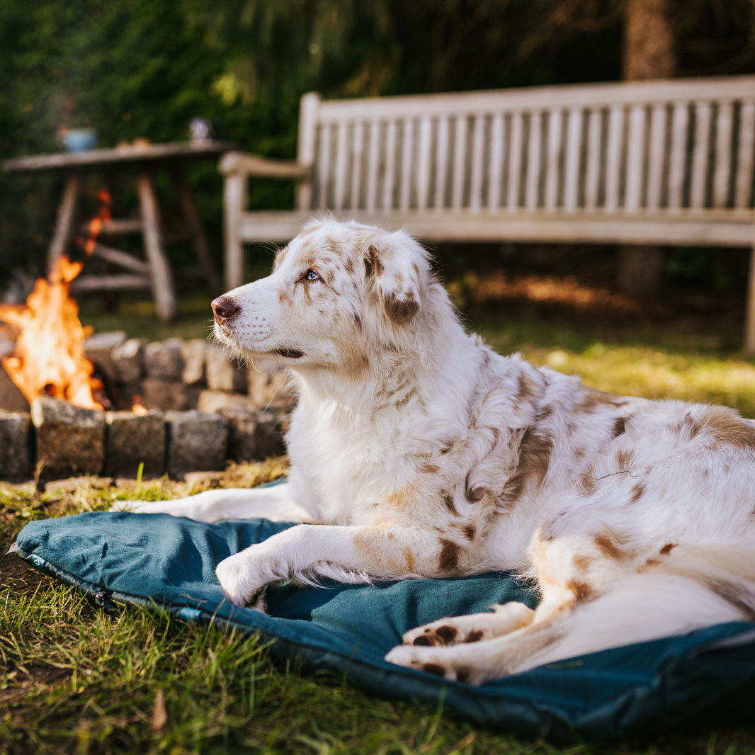 Trekking dog bed