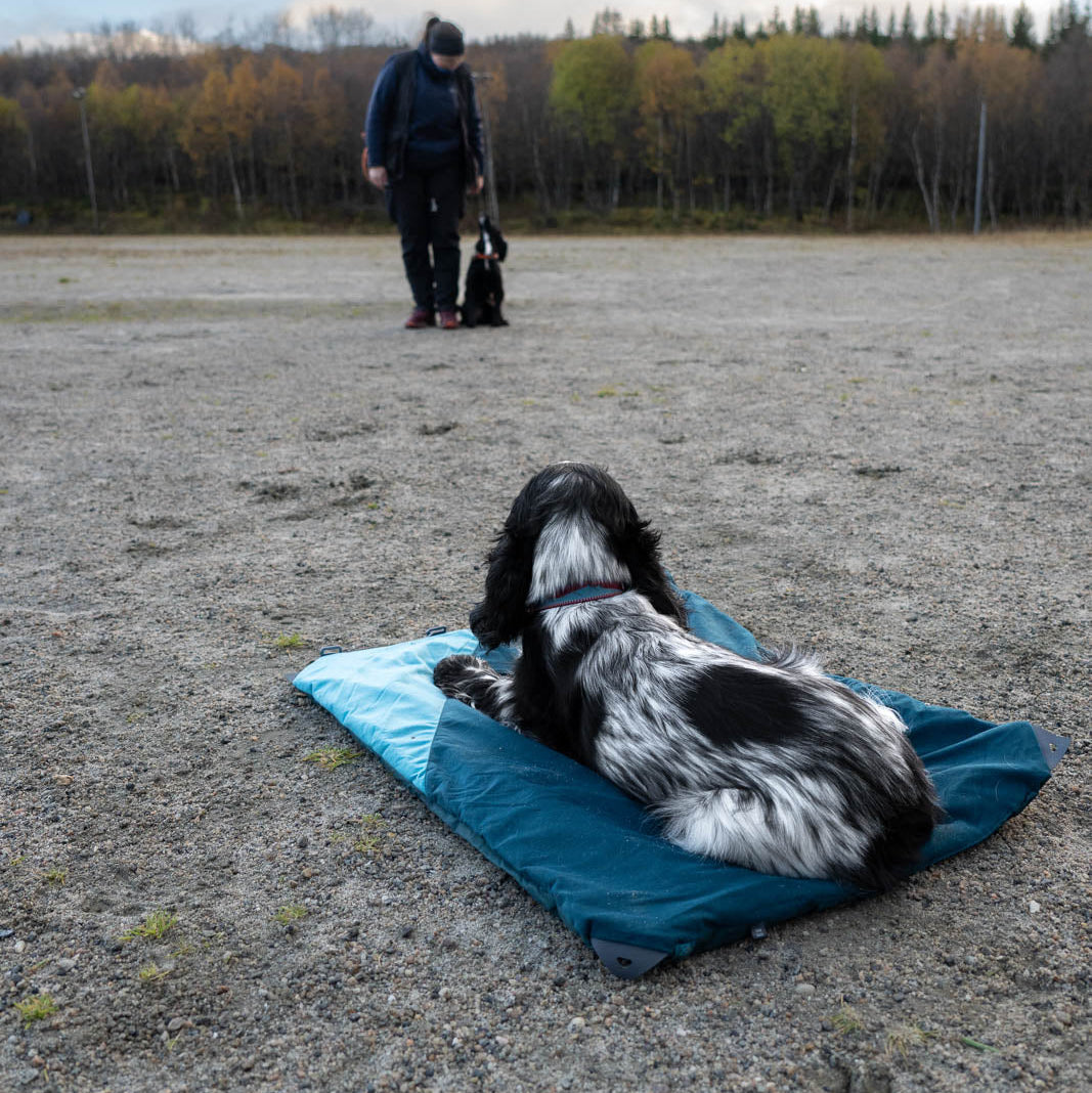 Trekking dog bed