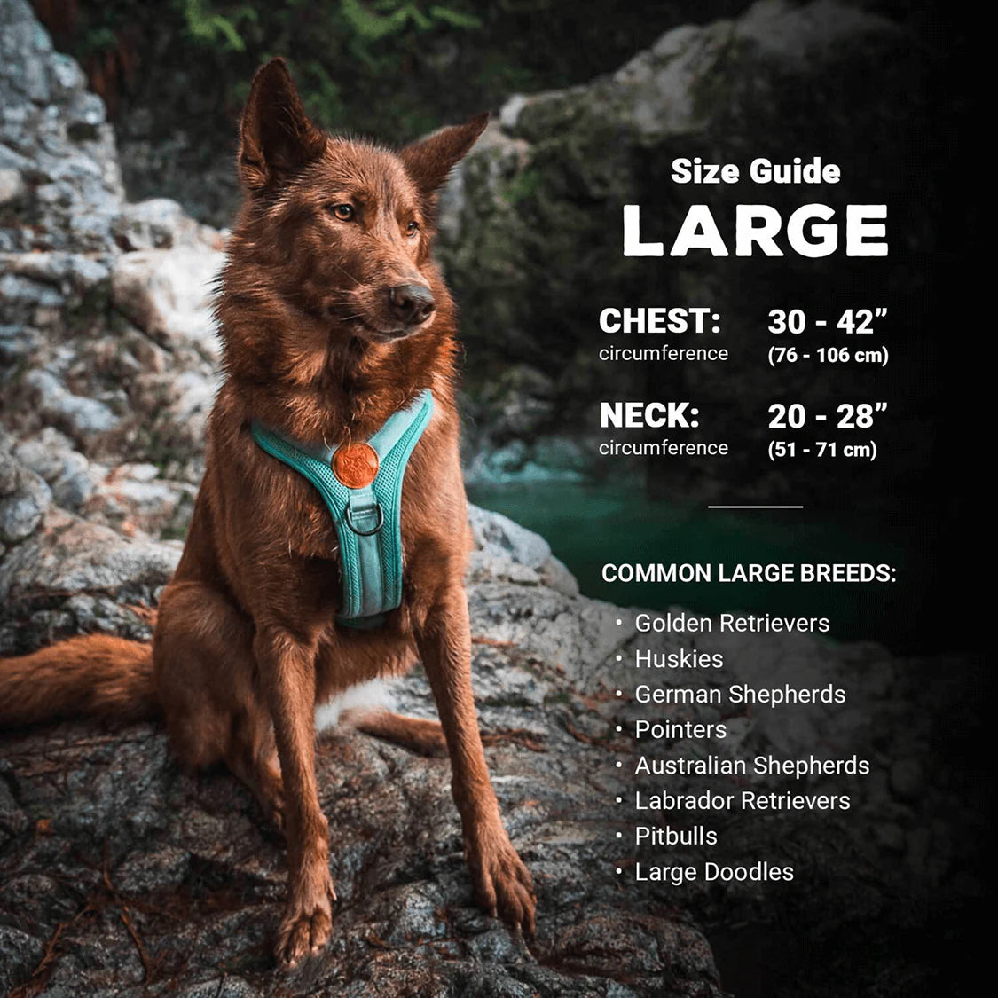 Wilderdog Y-sele – justerbar och bekväm sele för hund