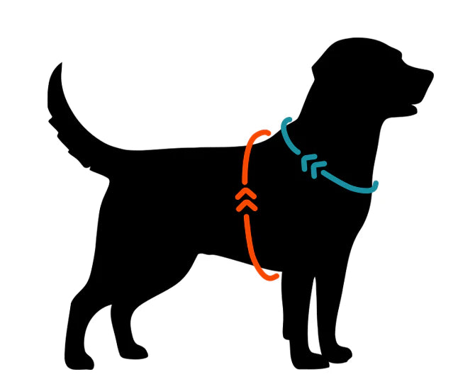 Wilderdog Y-sele – justerbar och bekväm sele för hund